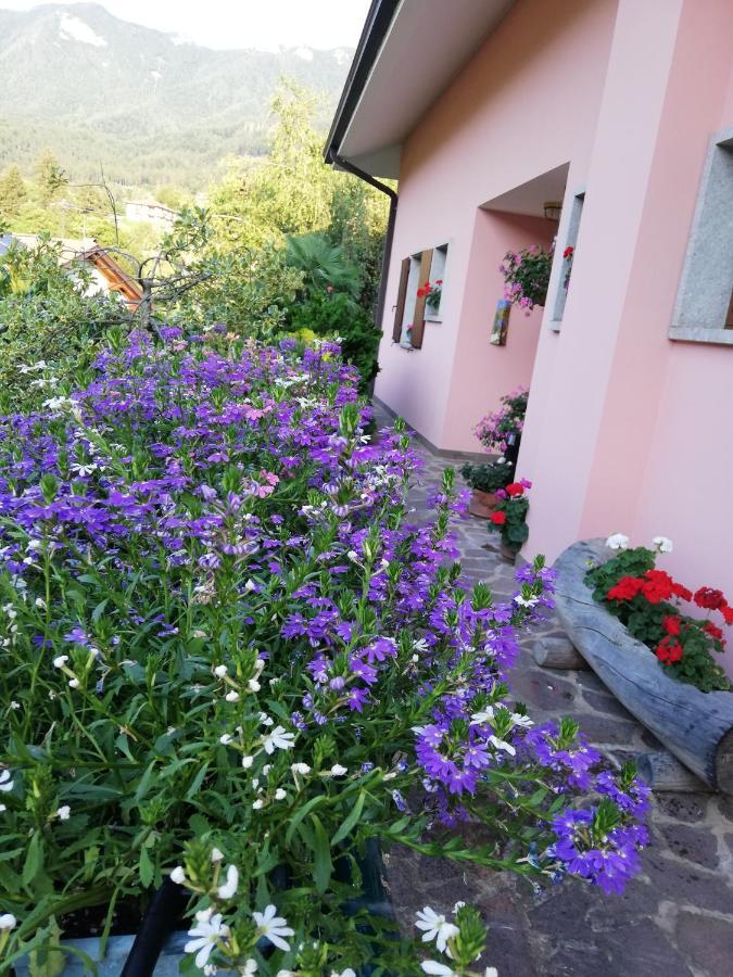 El Campizòl Drena Exterior foto