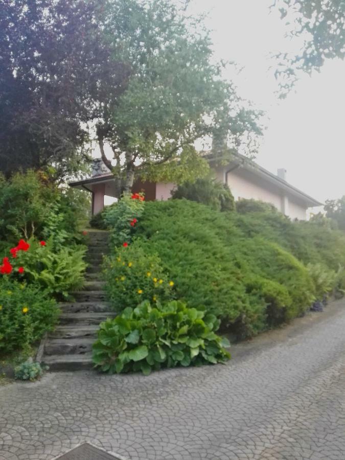 El Campizòl Drena Exterior foto